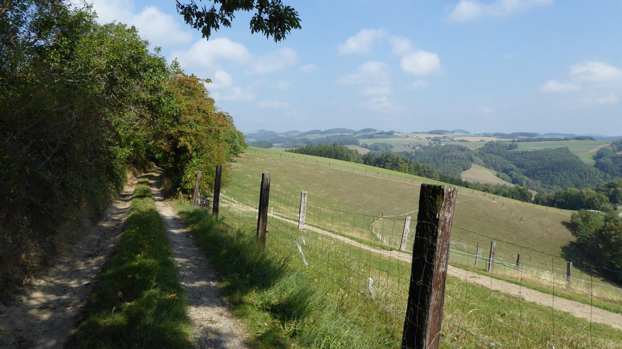 Geniesserpension Dopler - Zur Schonen Au Bad Schönau Esterno foto